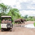 ZMB EAS SouthLuangwa 2016DEC10 KapaniLodge 003 : 2016, 2016 - African Adventures, Africa, Date, December, Eastern, Kapani Lodge, Mfuwe, Month, Places, South Luangwa, Trips, Year, Zambia